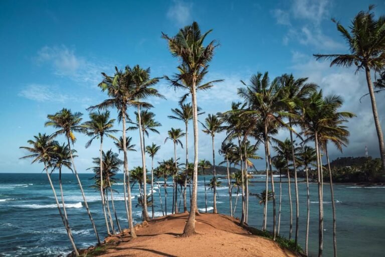 Central Highlands in Sri Lanka