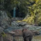 In 2026, travel is evolving into something more meaningful than it was in previous years. Many travelers are now intentionally seeking journeys that nourish the mind, heal the body, and realign the spirit. This kind of travel is known as transformational travel, and Sri Lanka is one of the best destinations in the world to experience it.
