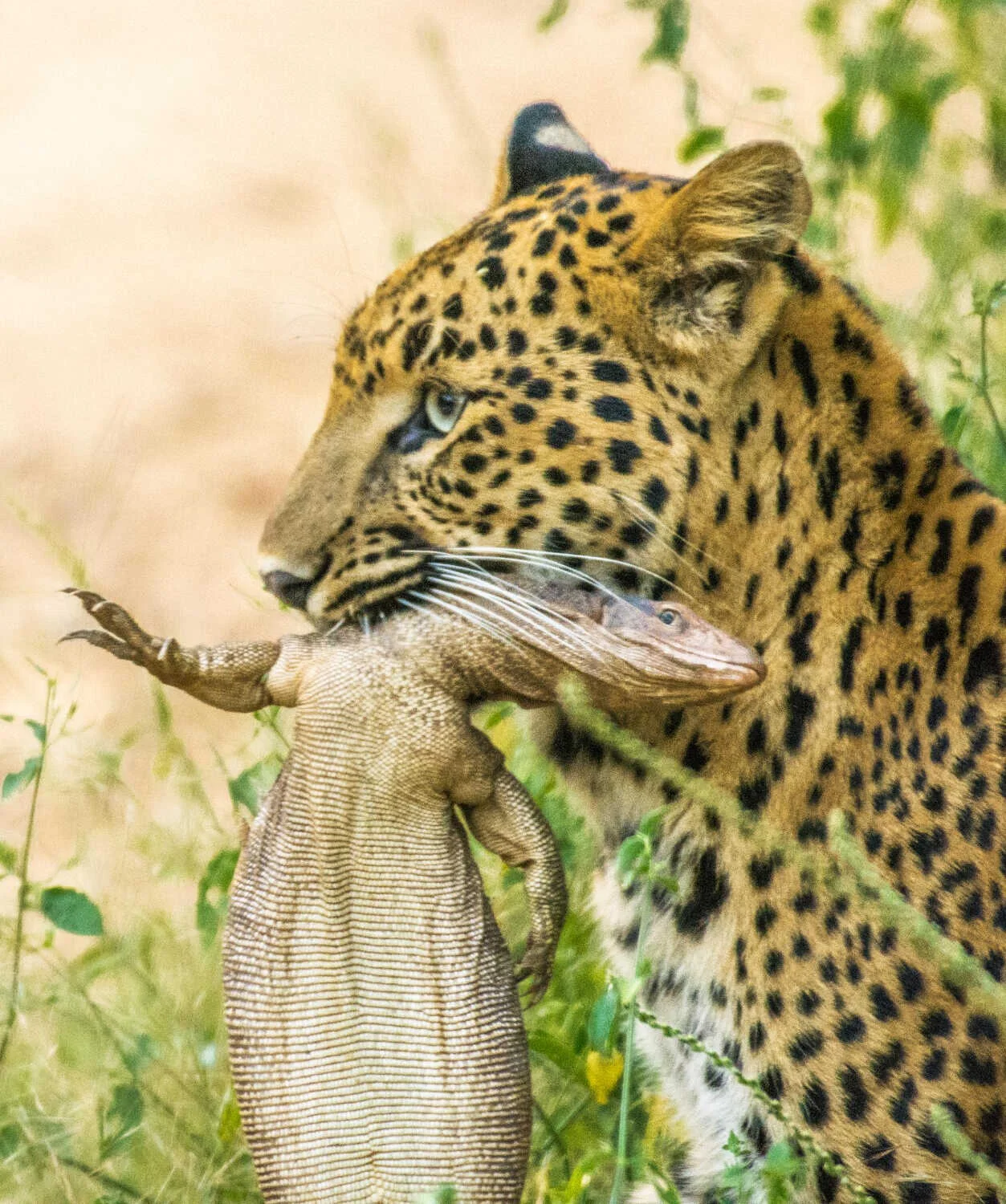 landing_page_image 12