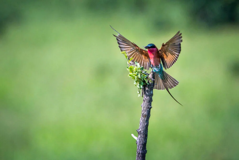 landing_page_image 14