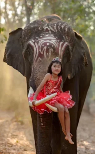 landing_page_image 17 e1756223261656