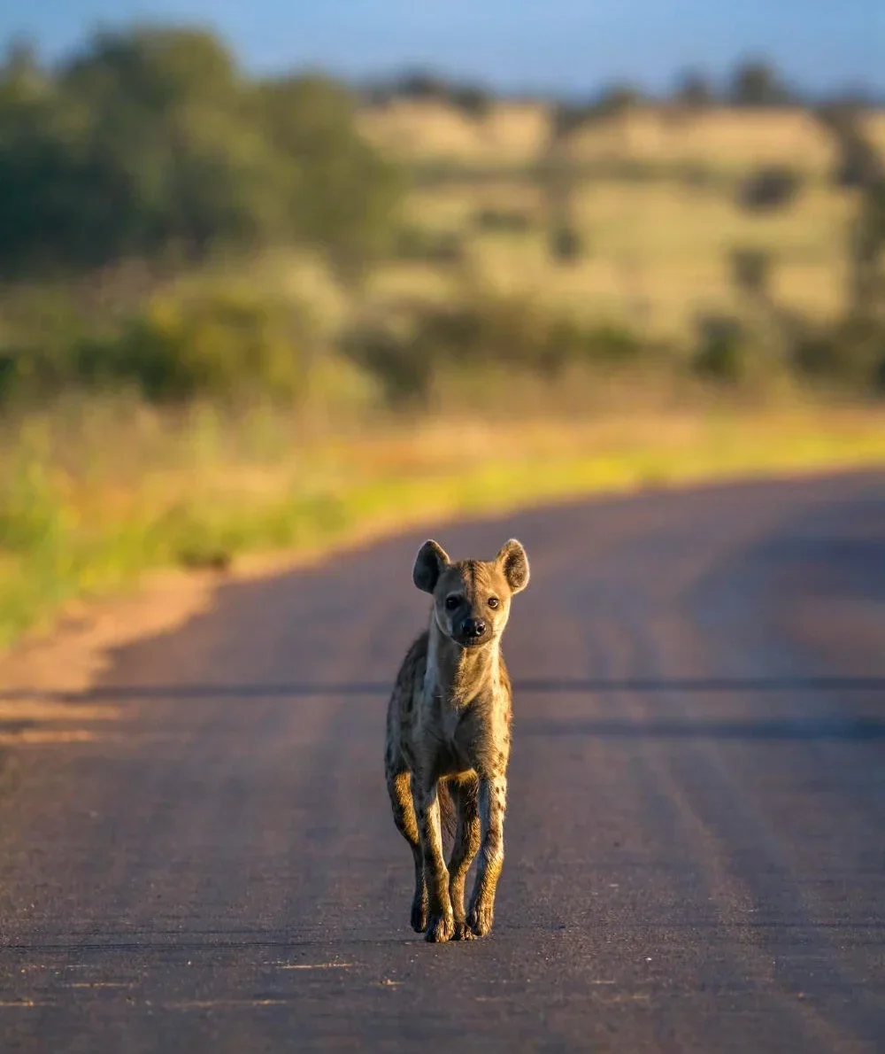 landing_page_image 21 e1756225958915