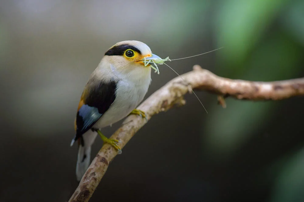 landing_page_image 31