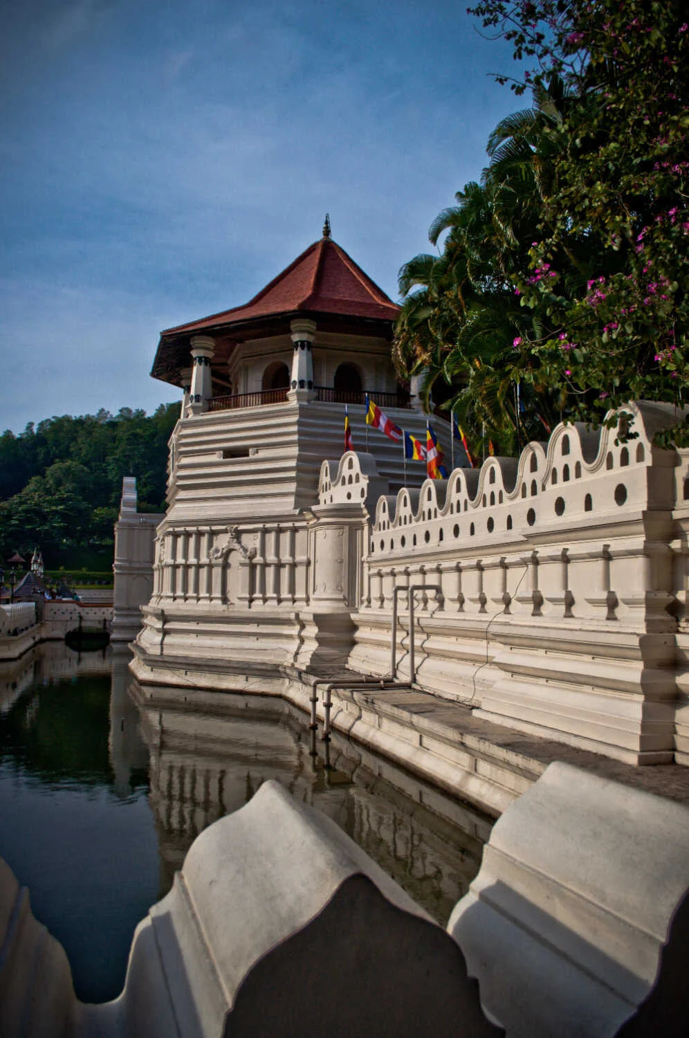 landing_page_image 36