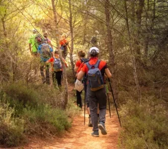 landing_page_image 50 e1756227181630