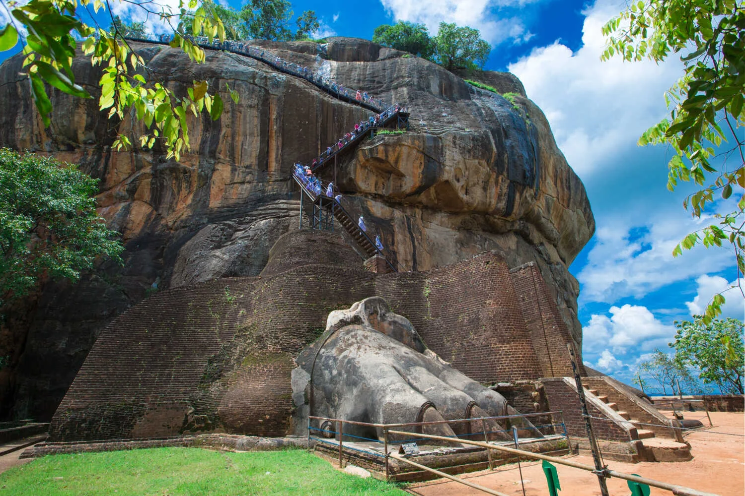 landing_page_image 56